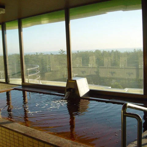 Shirako Onsen Green Mukai - Chiba