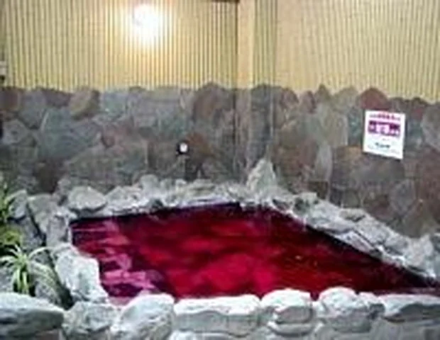 藤ランド（閉館しました）