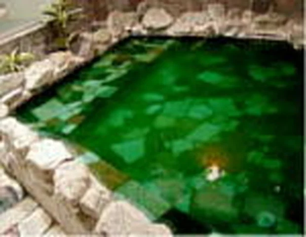 藤ランド(閉館しました)