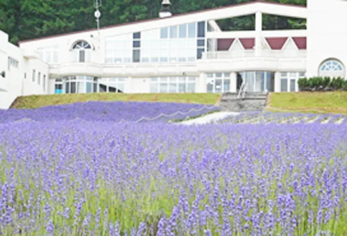 フォトアルバム1