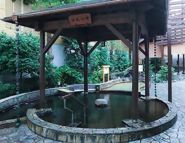 前野原温泉 さやの湯処