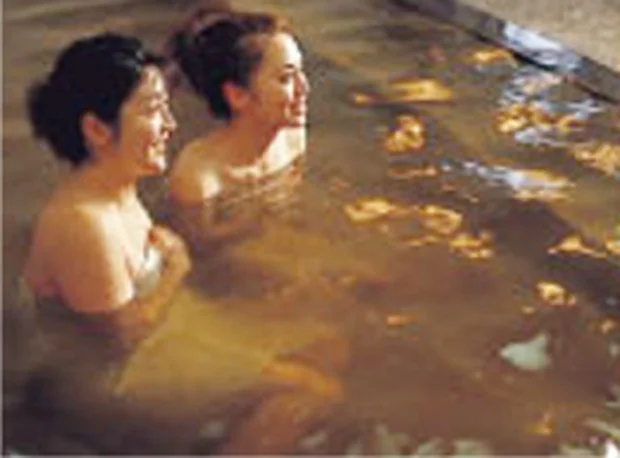 水月ホテル 鴎外荘(閉館しました)