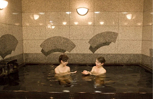 水月ホテル 鴎外荘（閉館しました）