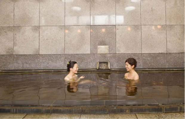 水月ホテル 鴎外荘（閉館しました）