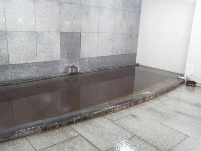 水月ホテル 鴎外荘（閉館しました）