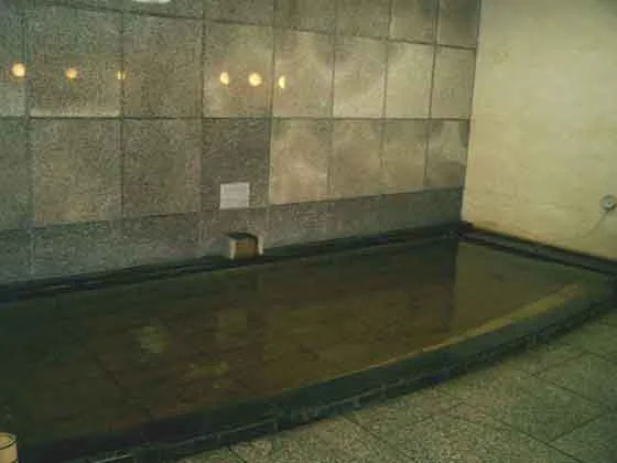 水月ホテル 鴎外荘（閉館しました）