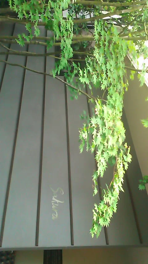 東京染井温泉 Sakura （サクラ）