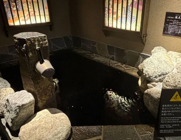 天然温泉 凌天の湯 御宿野乃 浅草別邸