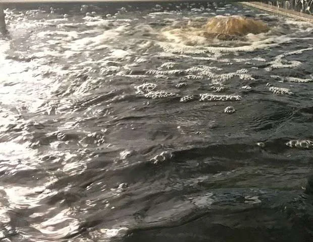 第一相模湯