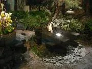 中延温泉 松の湯