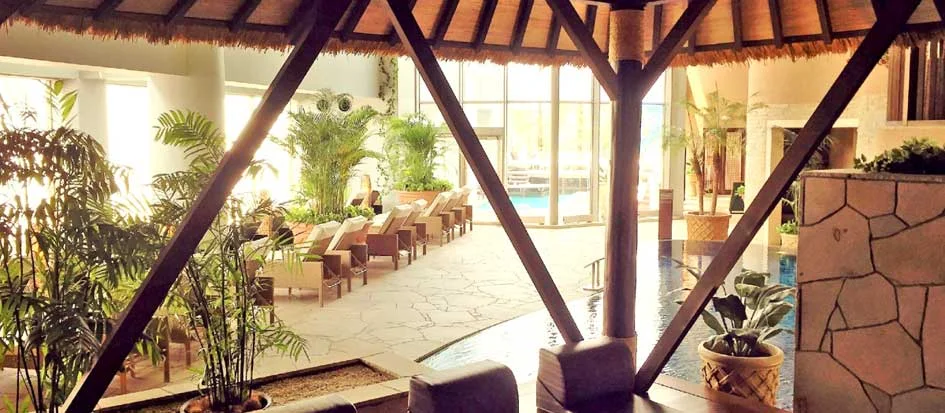 トップメイン画像5