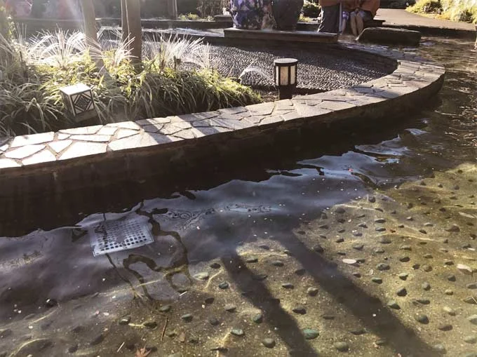 東京お台場 大江戸温泉物語(閉館しました)