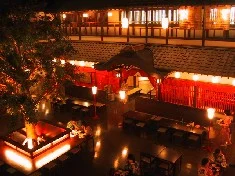 東京お台場 大江戸温泉物語（閉館しました）