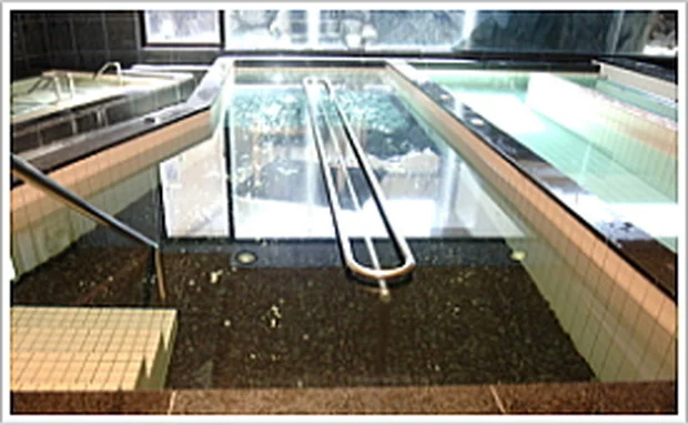 東京天然温泉 古代の湯