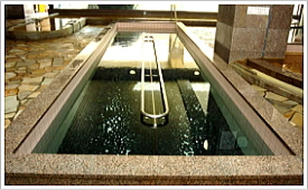 東京天然温泉 古代の湯