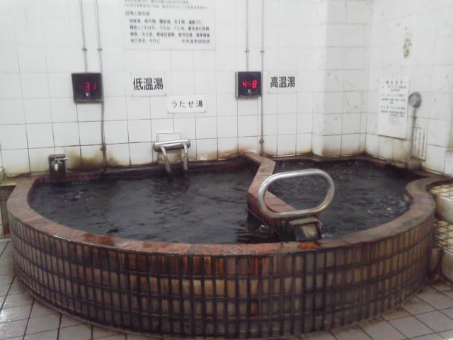 蒲田温泉