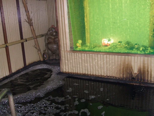 照の湯(てるのゆ）