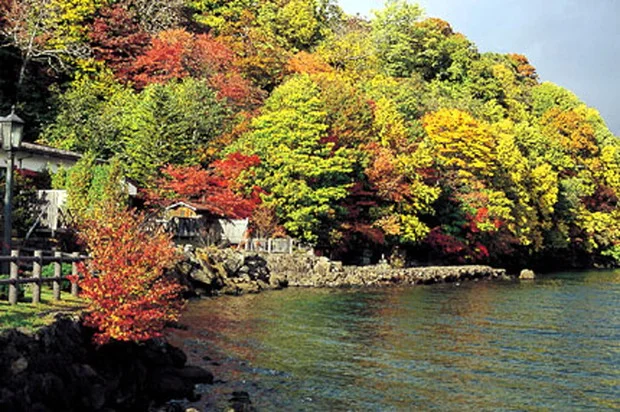 丸駒温泉旅館