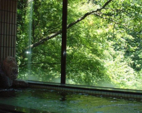 氷川郷 麻葉の湯 - 東京都