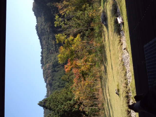 秋川渓谷 瀬音の湯