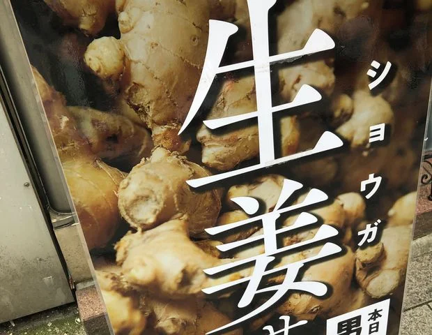 生姜サウナ 金の亀