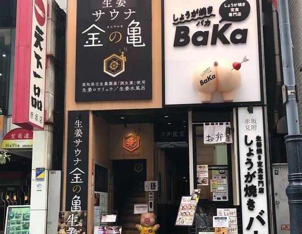 生姜サウナ 金の亀