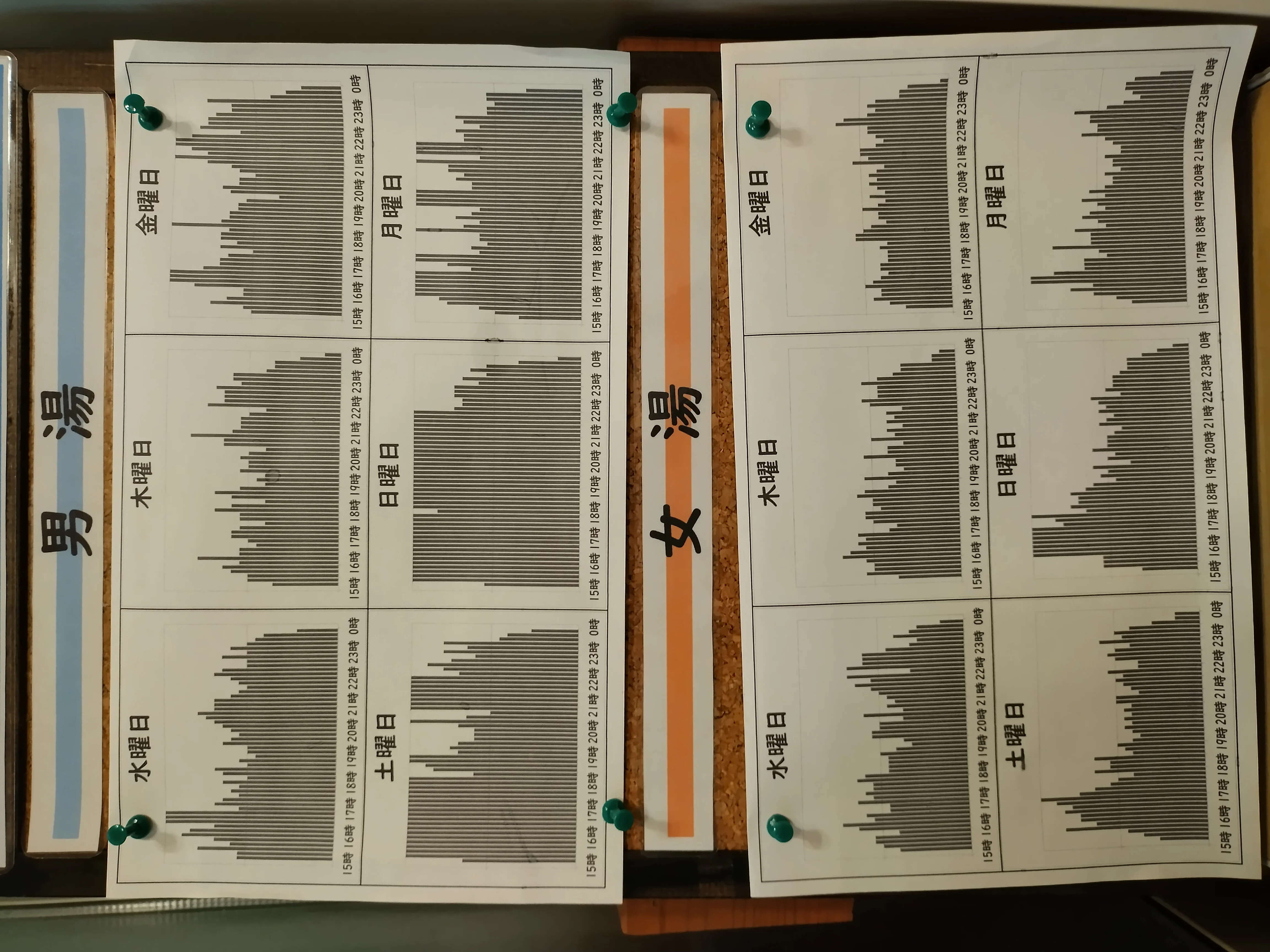 はすぬま温泉