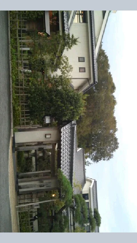 多摩境天然温泉 森乃彩