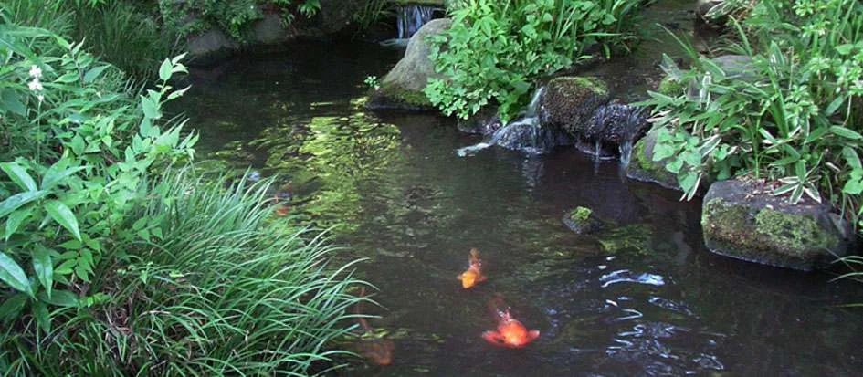 トップメイン画像2