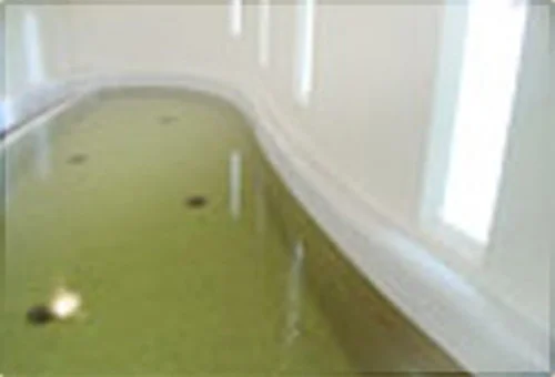 フォトアルバム11