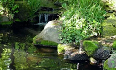 リラクゼーション・岩盤浴1