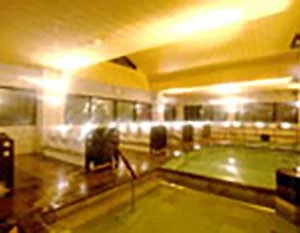 スーパー銭湯 大雪乃湯（閉館しました）