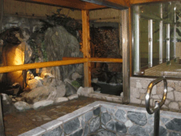 蛇骨湯(閉館しました)