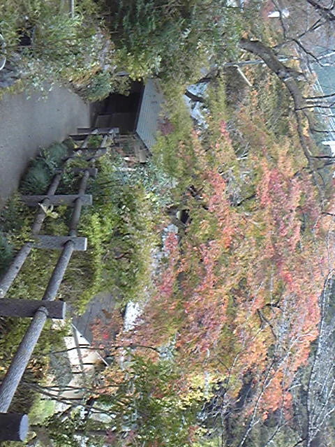 多摩・松乃温泉 水香園（閉館しました）