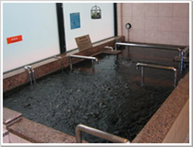 そしがや温泉21(閉館しました)