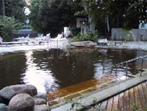 瀬田温泉山河の湯（閉館しました）