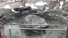 芽登温泉