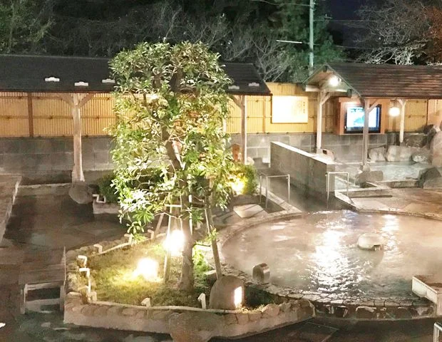 よみうりランド 丘の湯(閉館しました)