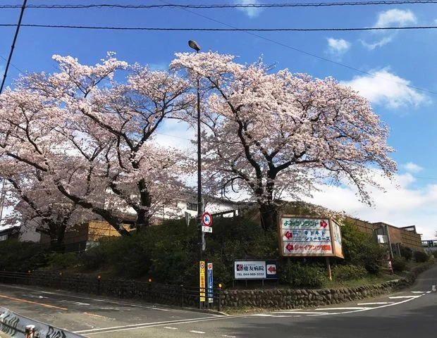 よみうりランド 丘の湯(閉館しました)