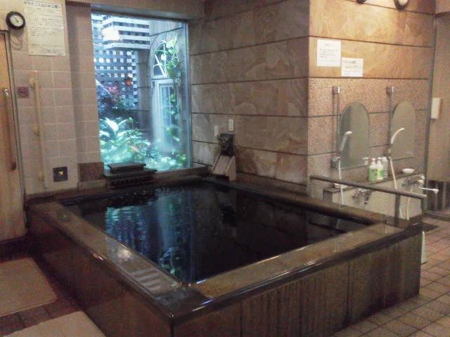 γγγ«ζ«εΊοΌι逨γγΎγγοΌ