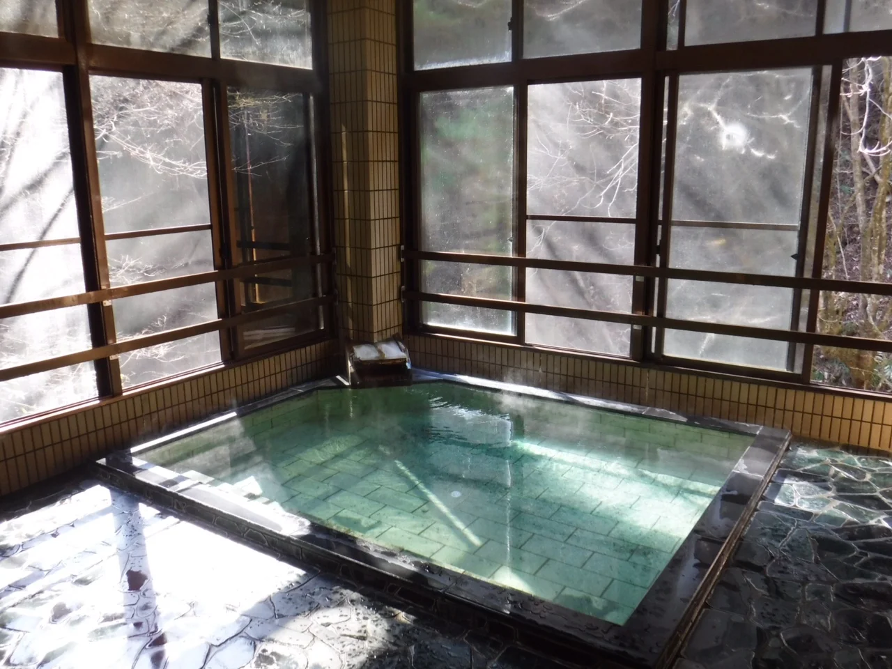 蛇の湯温泉 たから荘