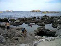 足付温泉 - 東京都