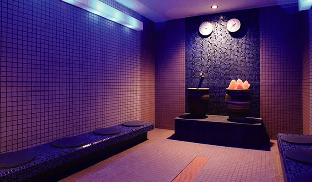 THE SPA 西新井