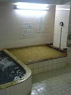 桃仙温泉(閉館しました)