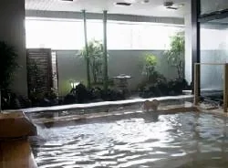 ファミリー湯宴ランド 小岩(閉館しました)