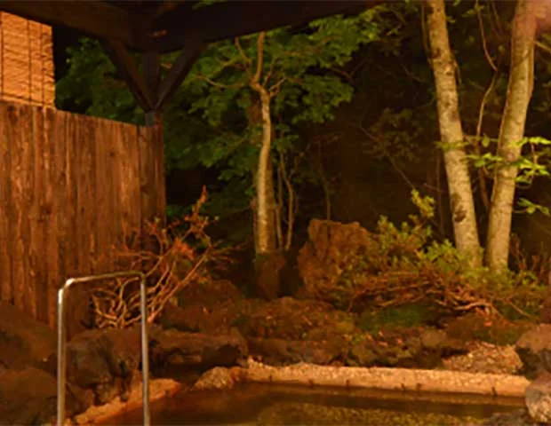 深山の庵 いわい (旧 ホテル岩井)(休業中)