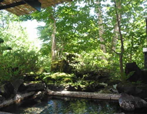 深山の庵 いわい (旧 ホテル岩井)(休業中)