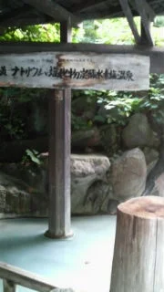 加仁湯