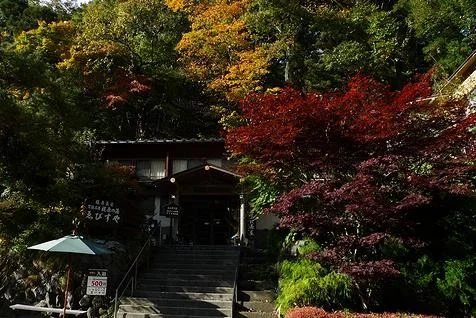 塩原元湯温泉 ゑびすや