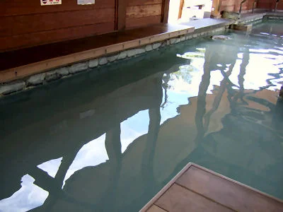 湯元園地 あんよの湯